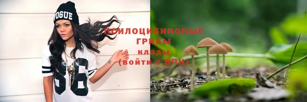 МДПВ Осинники