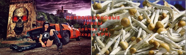 круглые Абдулино