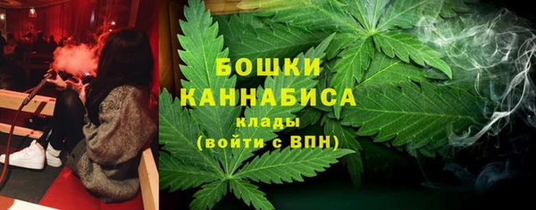 твердый Осташков
